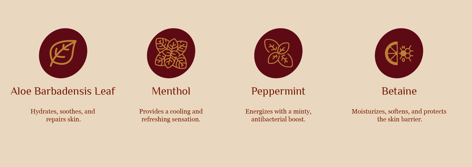 Aloe vera & Menthol Body in India | QuickLook